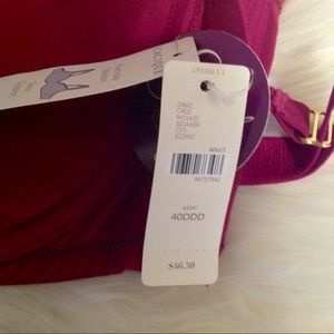 Cacique Intimates & Sleepwear - Cacique NWT Bra, Size 40DDD. Cacique Intimates & Sleepwear - Cacique NWT Bra, Size 40DDD.